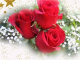 Happy Birthday Flowers Romantic Happy Birthday Rose Romantic Version Youtube