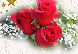 Happy Birthday Flowers Romantic Happy Birthday Rose Romantic Version Youtube