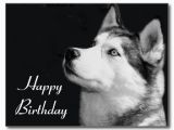Happy Birthday for Dogs Quotes 6 Happy Birthday Quotes for Dogs Quotesgram