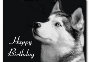 Happy Birthday for Dogs Quotes 6 Happy Birthday Quotes for Dogs Quotesgram