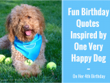 Happy Birthday for Dogs Quotes 7 Fun Birthday Quotes From A Very Happy Birthday Dog