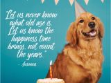 Happy Birthday for Dogs Quotes Dog Birthday Quotes 4 Happy Birthday World
