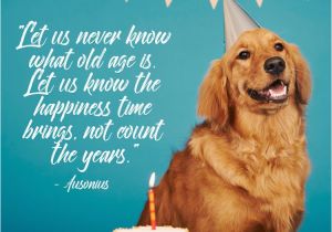 Happy Birthday for Dogs Quotes Dog Birthday Quotes 4 Happy Birthday World