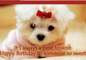 Happy Birthday for Dogs Quotes Happy Birthday Quotes for Dogs Quotesgram