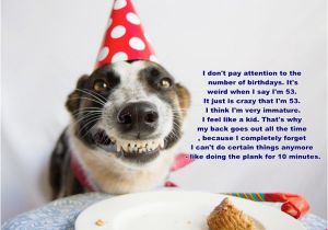 Happy Birthday for Dogs Quotes topic Birthday Quotes Wishes and Happy Birthday Images Quotes
