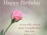 Happy Birthday for My Wife Quotes Birthday Wishes for Wife Husband Wishing Wife Happy Birthday