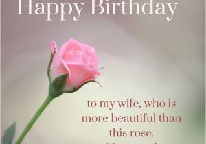 Happy Birthday for My Wife Quotes Birthday Wishes for Wife Husband Wishing Wife Happy Birthday