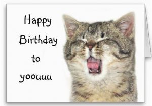 Happy Birthday From the Cat Card 17 Best Images About Cat Birthday Cards On Pinterest