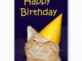 Happy Birthday From the Cat Card 17 Best Images About Cat Birthday Cards On Pinterest