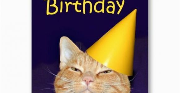 Happy Birthday From the Cat Card 17 Best Images About Cat Birthday Cards On Pinterest