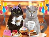 Happy Birthday From the Cat Card Cat Birthday Card Amazon Co Uk