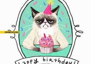 Happy Birthday From the Cat Card Grumpy Cat Happy Birthday Card Starecat Com