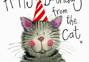 Happy Birthday From the Cat Card Happy Birthday From the Cat Birthday Card Cat themed