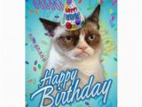 Happy Birthday From the Cat Card Happy Birthday Grumpy Cat Greeting Cards Zazzle