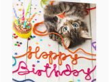 Happy Birthday From the Cat Card Happy Birthday Wishes with Cat Page 3