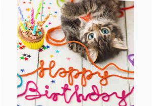 Happy Birthday From the Cat Card Happy Birthday Wishes with Cat Page 3