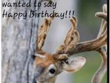 Happy Birthday Hunting Quotes A Dixie Lady Deer Hunter if It 39 S Your Birthday