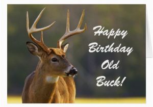 Happy Birthday Hunting Quotes Hunting Birthday Quotes Quotesgram