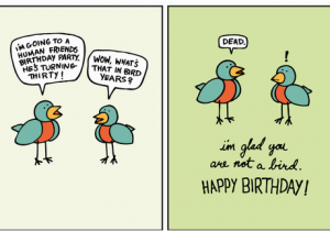 Happy Birthday Joke Quotes Funny Birthday Sayings to Amuse Your Friends Funny