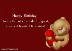 Happy Birthday Lil Sister Quotes Funny Sister Quotes Happy Birthday Quotes for Younger