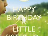 Happy Birthday Lil Sister Quotes Happy Birthday Little Sister Quotes Quotesgram