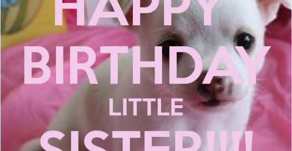 Happy Birthday Lil Sister Quotes Happy Birthday Little Sister Quotes Quotesgram