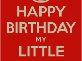Happy Birthday Lil Sister Quotes Little Sister Quotes Funny Quotesgram