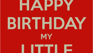 Happy Birthday Little Sister Funny Quotes Little Sister Quotes Funny Quotesgram