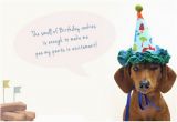 Happy Birthday Meme Dachshund Happy Birthday Memes Dog Wishesgreeting