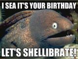 Happy Birthday Meme Fishing Meme Page 2 Happy Birthday Brian