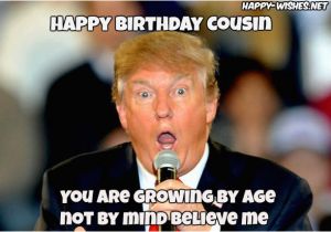 Happy Birthday Meme for Cousin Happy Birthday Wishes for Cousin Quotes Images Memes