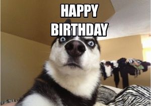 Happy Birthday Meme for Kids Funny Happy Birthday Memes Memeologist Com