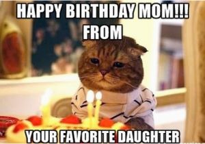 Happy Birthday Meme for Mom Happy Birthday Mom Memes Wishesgreeting