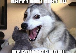 Happy Birthday Meme for Mom Happy Birthday Mom Memes Wishesgreeting