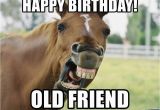 Happy Birthday Meme Old Friend Happy Birthday Old Friend Horse Luis Meme Generator