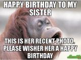 Happy Birthday Meme to Sister 20 Hilarious Birthday Memes for Your Sister Sayingimages Com