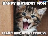 Happy Birthday Meme with Cats 20 Cat Birthday Memes that are Way too Adorable