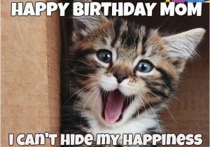 Happy Birthday Meme with Cats 20 Cat Birthday Memes that are Way too Adorable