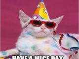 Happy Birthday Meme with Cats Happy Birthday Cat Memes Funny Funny Cute Angry Grumpy