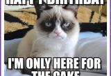 Happy Birthday Meme with Cats Happy Birthday Memes with Funny Cats Dogs and Cute Animals