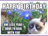 Happy Birthday Meme with Cats Happy Birthday Memes with Funny Cats Dogs and Cute Animals