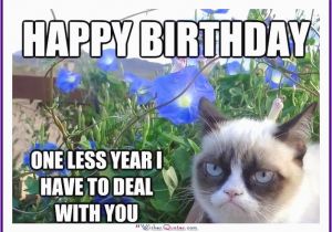 Happy Birthday Meme with Cats Happy Birthday Memes with Funny Cats Dogs and Cute Animals