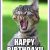 Happy Birthday Meme with Cats Happy Birthday Memes with Funny Cats Dogs and Cute Animals