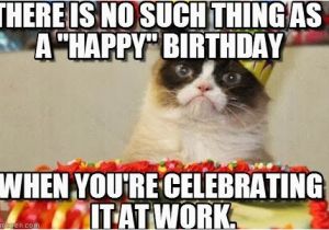 Happy Birthday Meme with Cats the December Birthday Struggle Bus