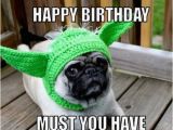 Happy Birthday Meme with Dogs Happy Birthday Memes Dog Wishesgreeting