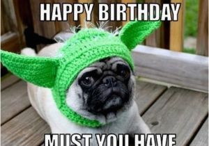 Happy Birthday Meme with Dogs Happy Birthday Memes Dog Wishesgreeting