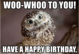 Happy Birthday Memes Cute Owl Birthday Memes Wishesgreeting