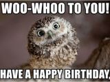 Happy Birthday Memes Cute Owl Birthday Memes Wishesgreeting