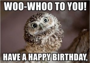 Happy Birthday Memes Cute Owl Birthday Memes Wishesgreeting