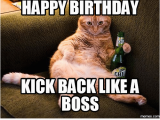 Happy Birthday Memes for Boss 20 Cat Birthday Memes that are Way too Adorable